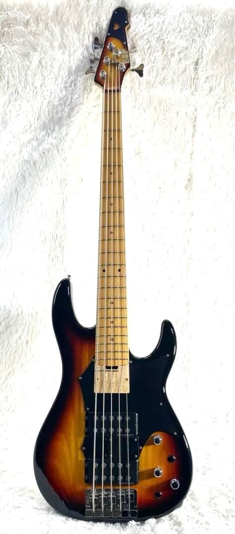 【激レア】ESP AP-190 Custom 5弦ベース IKUO シグネイチャ