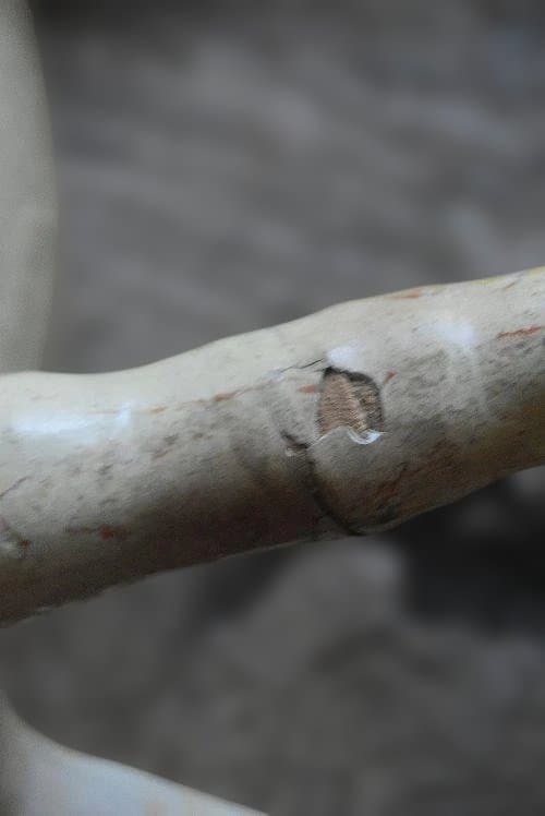 フランスアンティーク馬のオブジェ　西洋民藝　ジャンク品