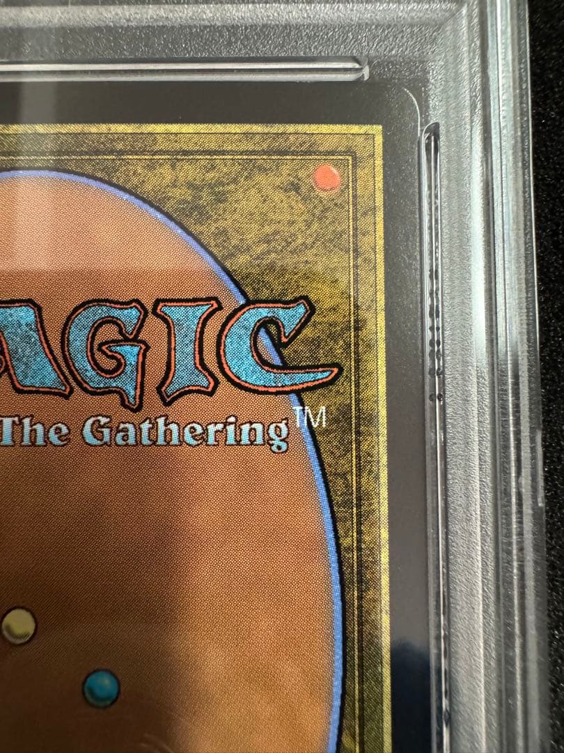 醤*菌様 魔女、ヤ・シュトラ・ルル　サージfoil 日本語版　psa10 mtg