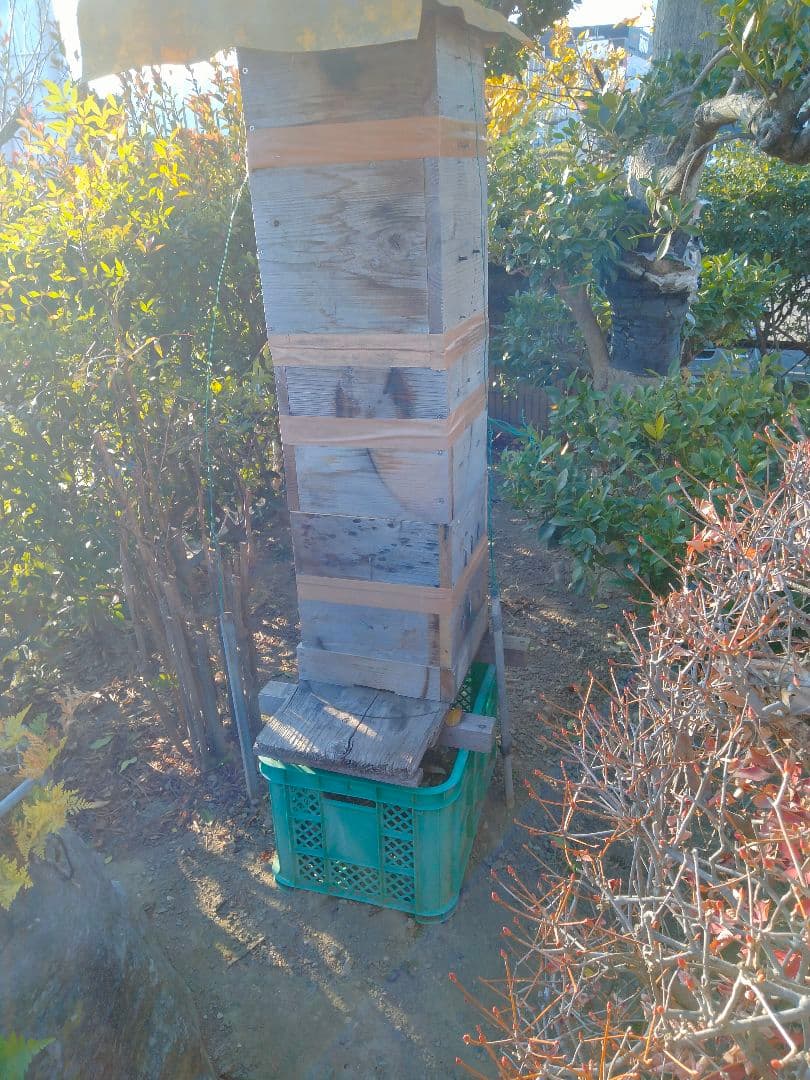 日本蜜蜂　百花蜜　200g×5　天然非加熱　　　ハチミツ　5種の味比べセット 3