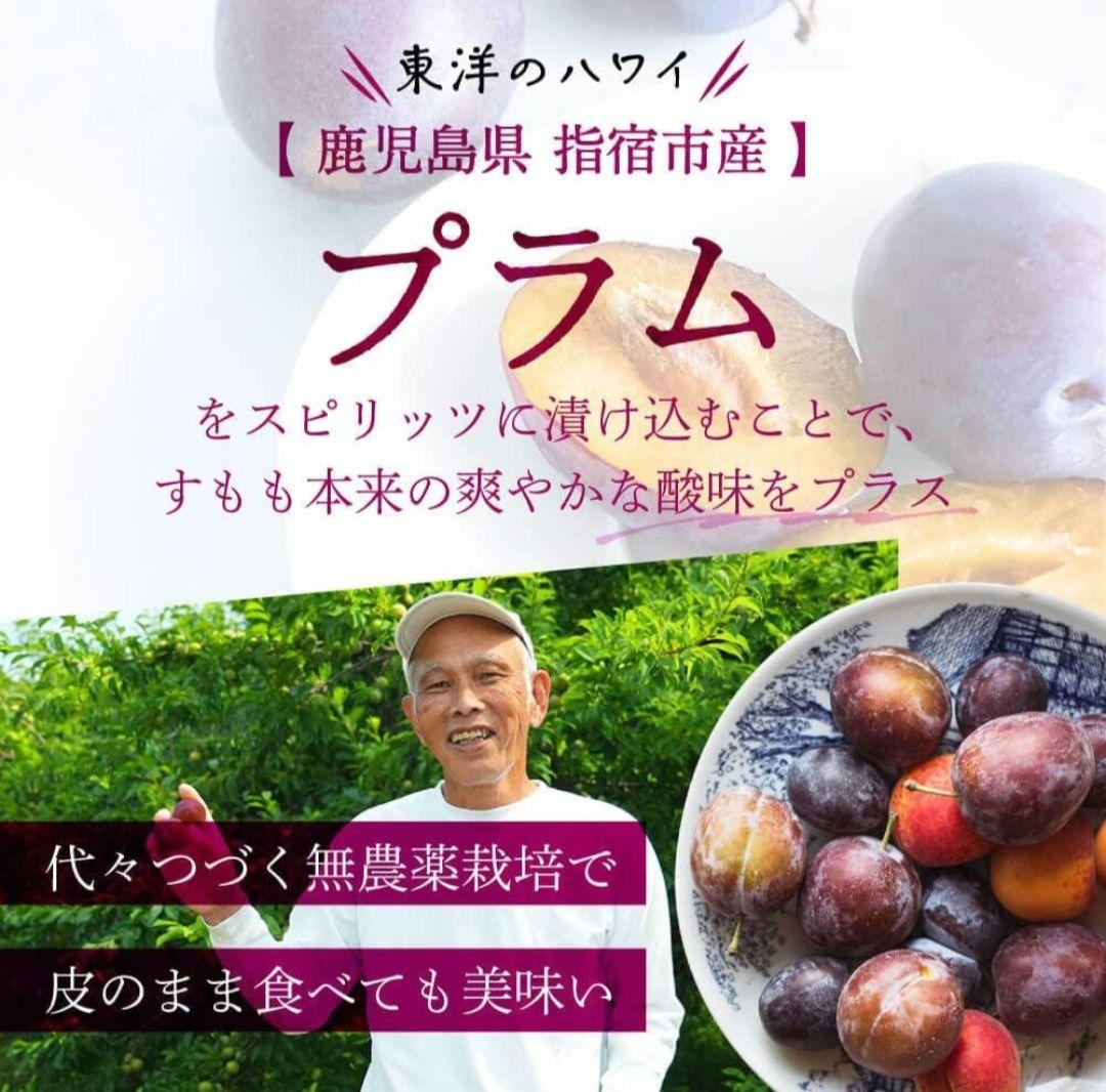 PLUMGIN (特製BOX入り) すももベース 高級 新感覚クラフトジン