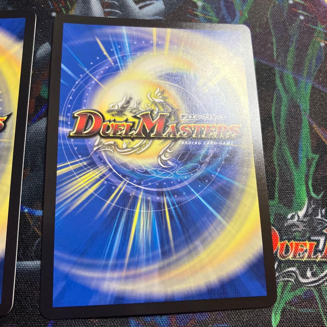 メルカリ便　シークレット　龍后凰翔　クイーンルピア　ファイアーバード