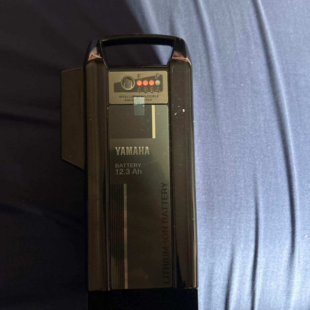 電動自転車の電池