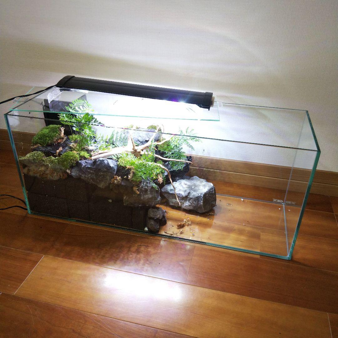 【受注生産】滝のあるアクアテラリウム　イモリウム　苔テラリウム　テラリウム