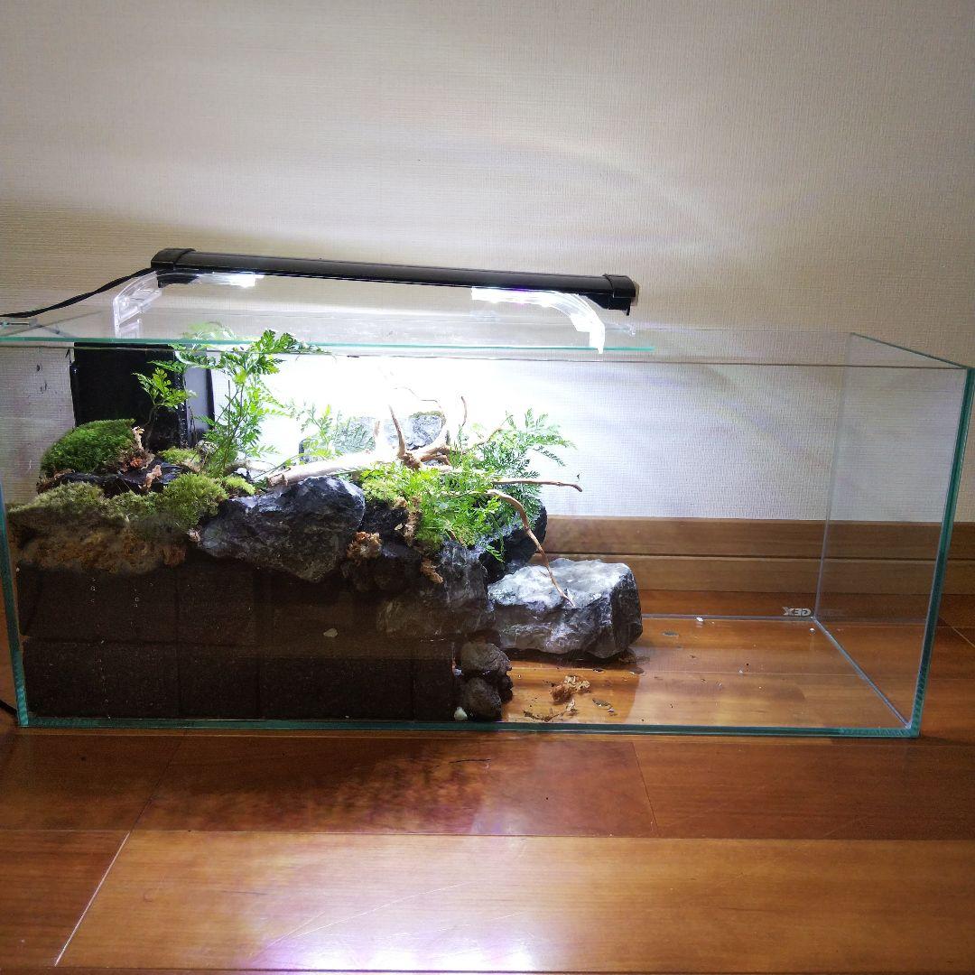 【受注生産】滝のあるアクアテラリウム　イモリウム　苔テラリウム　テラリウム