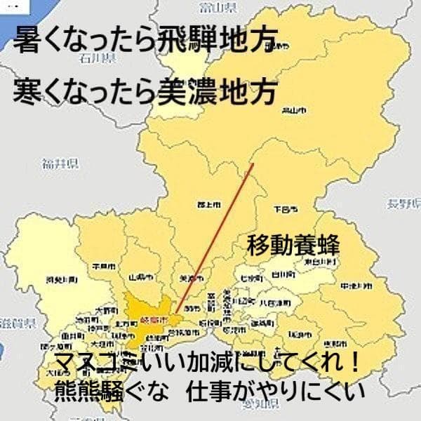 国産百花蜜 梅酒瓶入り　おまけ蜜蝋付き　業者　グループ買い　生産者価格で大放出