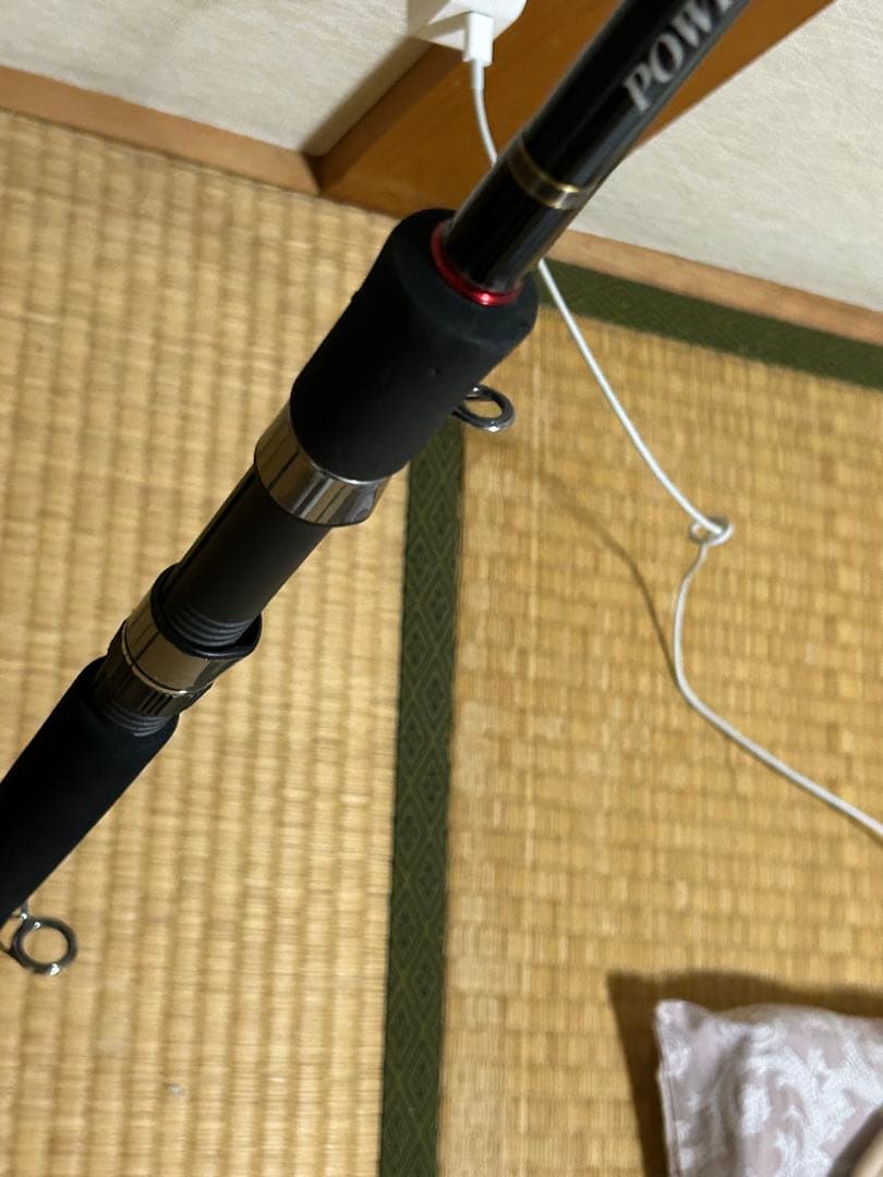 天龍　テンリユウパワーマスター　PWM96ml