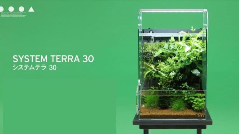 メ*ズ様 本日限定価格【廃盤品】DOOA システムテラ 30 ライト ミスト セ