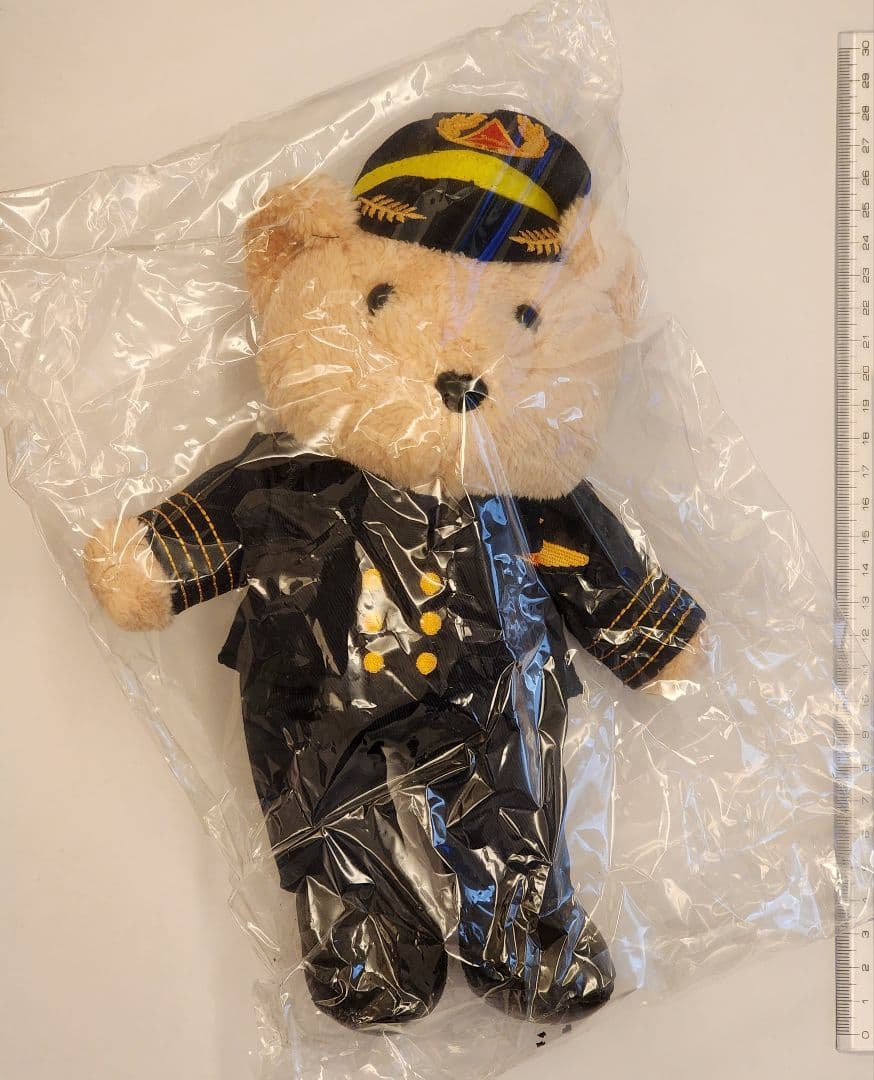 希少 デルタ航空パイロットのベア 刺繍ロゴ