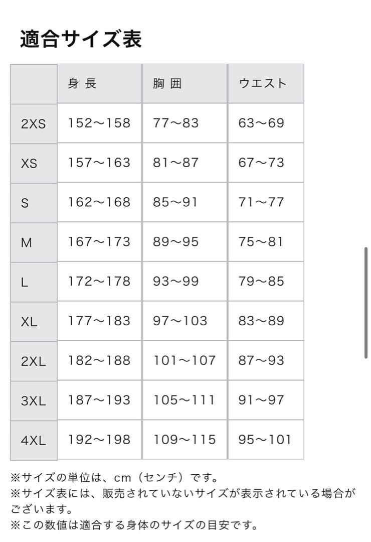 新品★ミズノ2025国スポ限定ポロシャツ限定デザイン国民スポーツ大会国体3XL