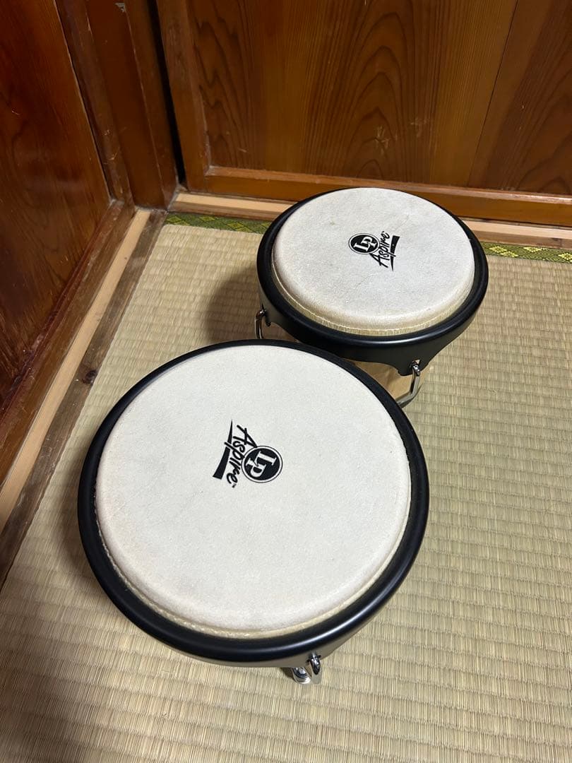 LP Aspire Wood Bongos ボンゴ