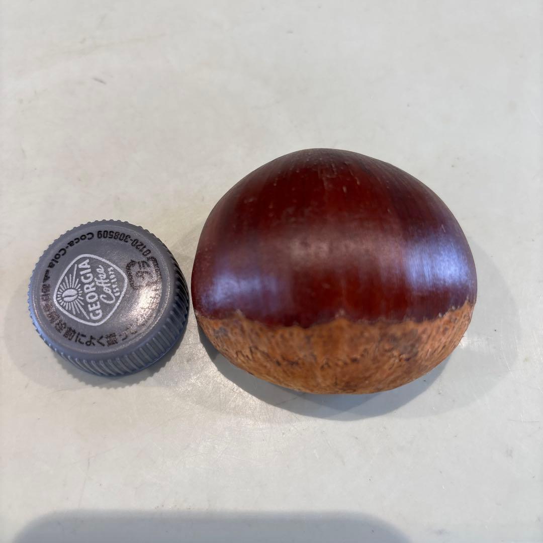 Chokoro様 長野パープル2