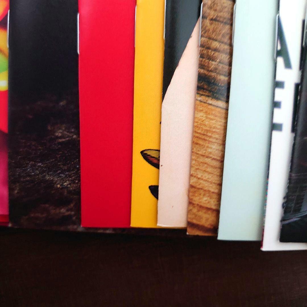 aiko　ファンクラブ　会報誌　美品　ベイビーピーナッツ　グッズ