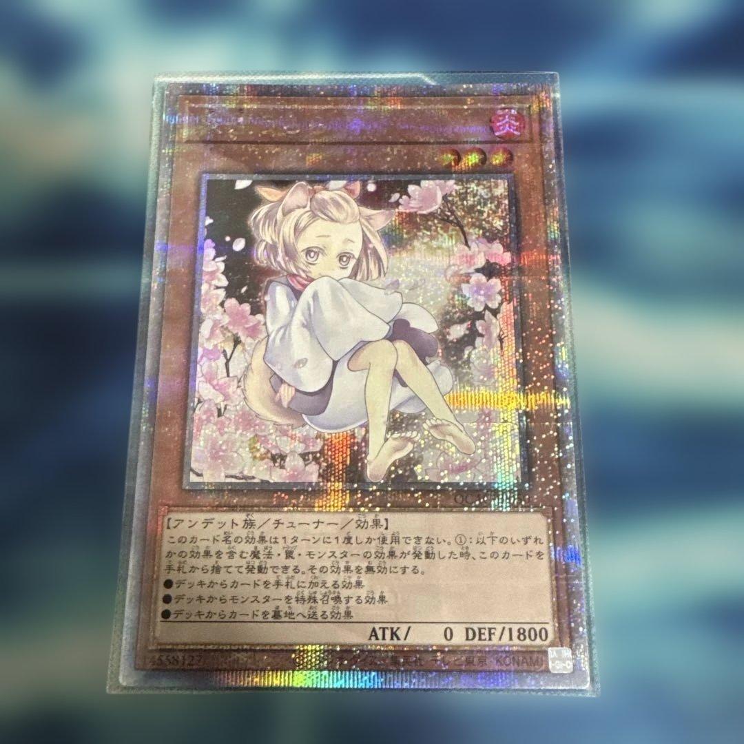 遊戯王　灰流うらら はるうらら　25th 絵違い　クオシク　初期傷あり