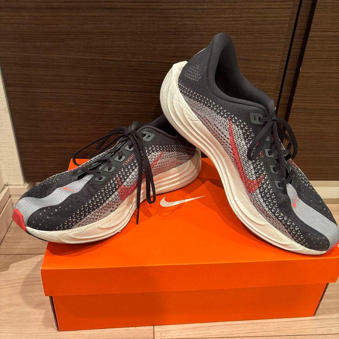 【きんぐ】NIKE　ペガサスプラス　27cm　箱付き