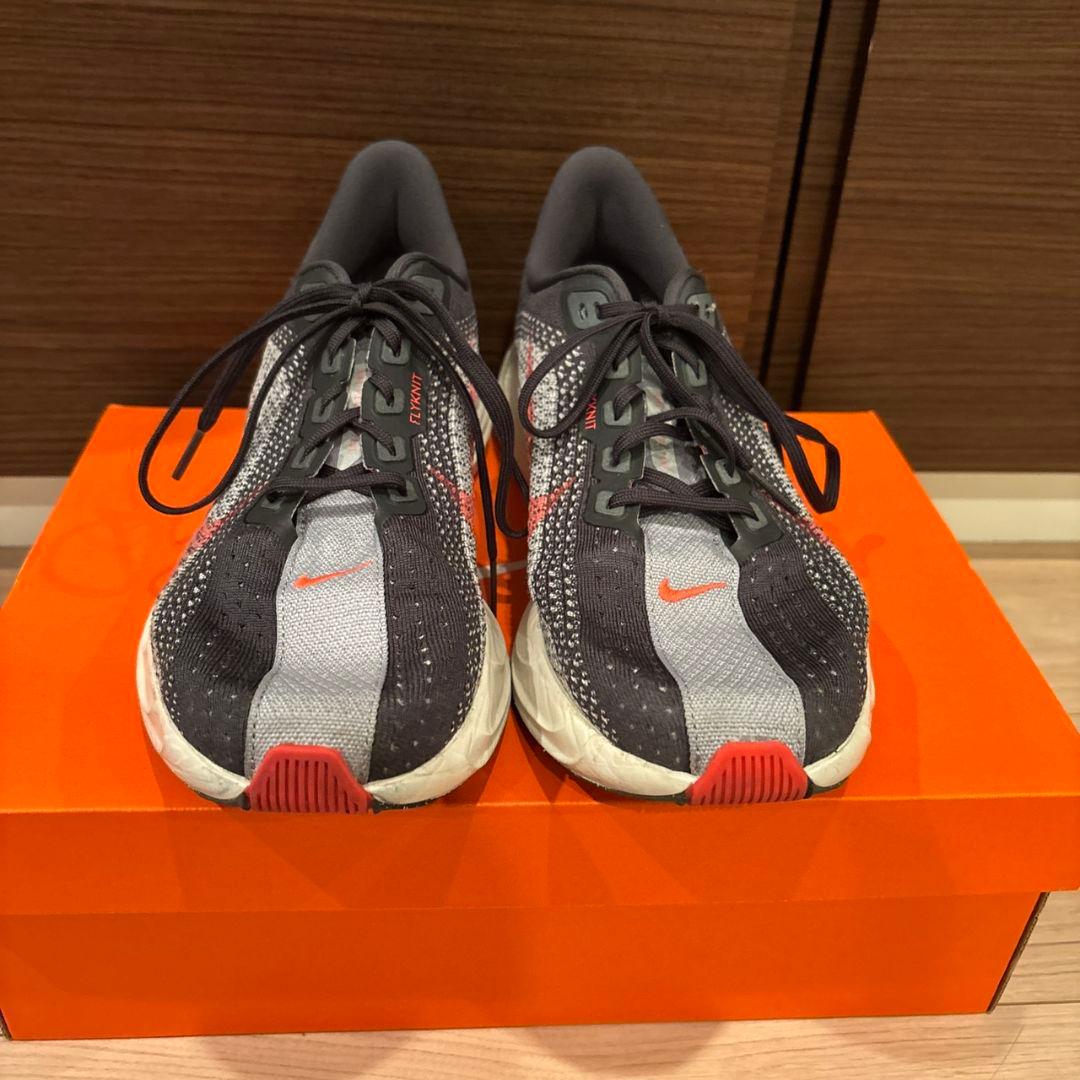 【きんぐ】NIKE　ペガサスプラス　27cm　箱付き