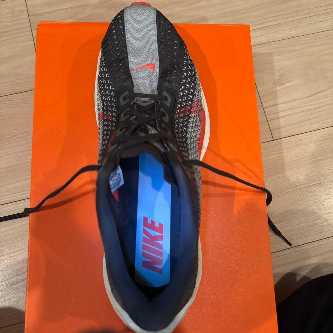 【きんぐ】NIKE　ペガサスプラス　27cm　箱付き