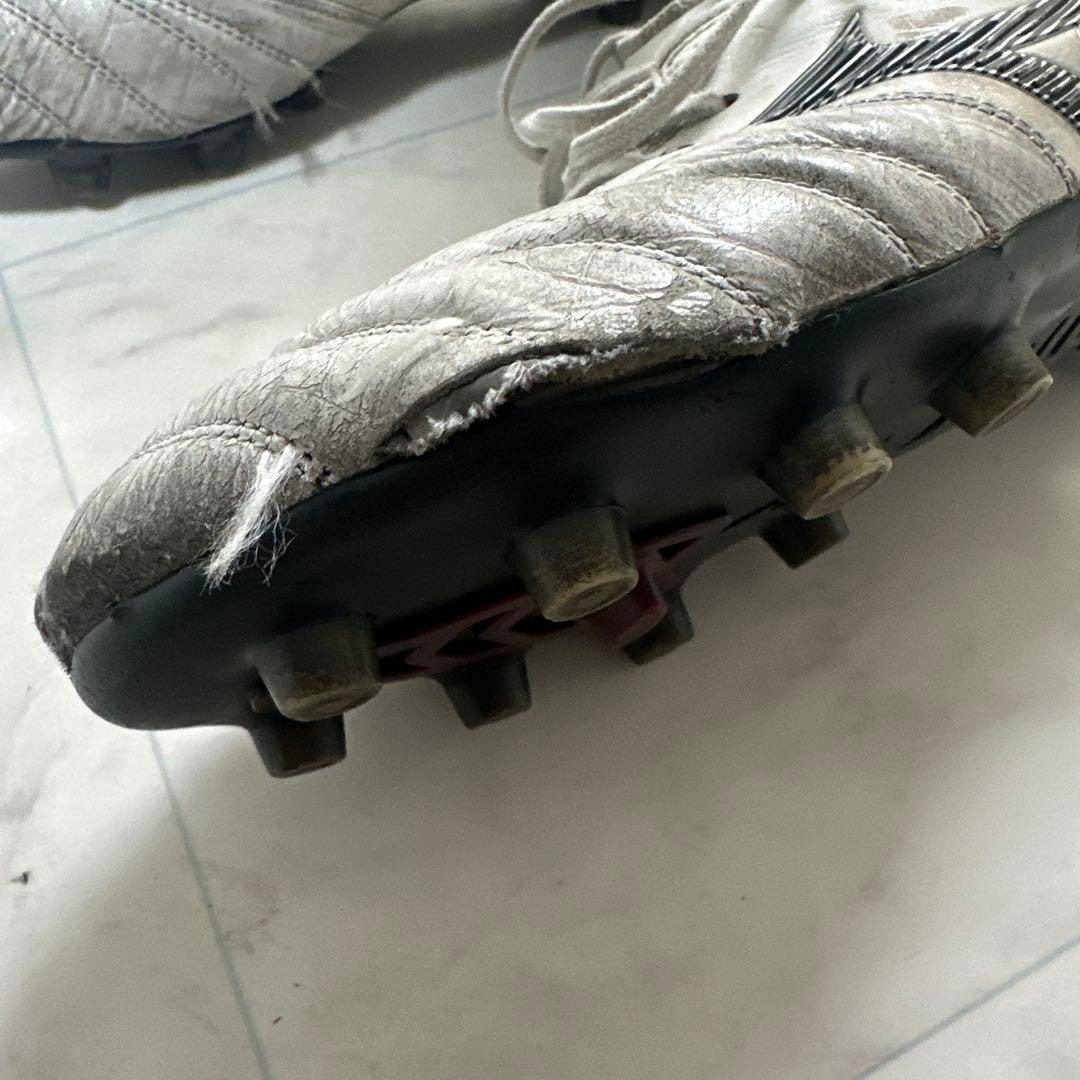 モレリア 25センチ