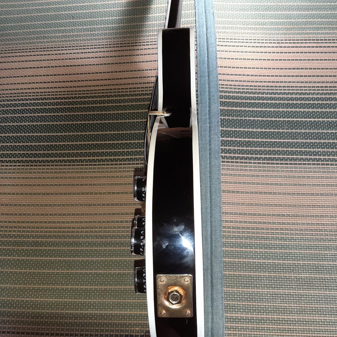 MAISON レスポール 弦新品 ソフトケース、おまけ付き