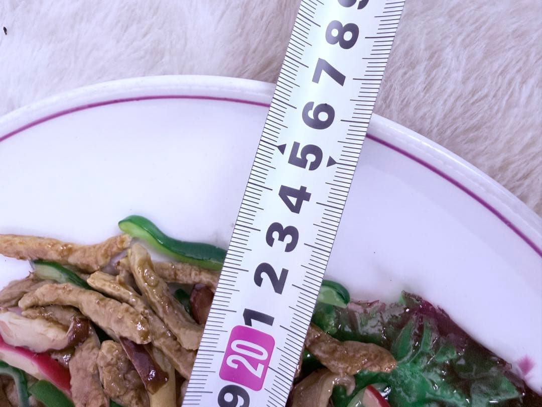 青椒肉絲（チンジャオロース）食品サンプル リアル再現 中華料理ディスプレイ用