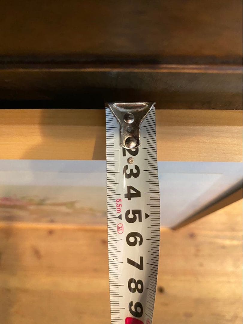 Alain Ragaru リトグラフ 額縁 インテリア ランの盛花