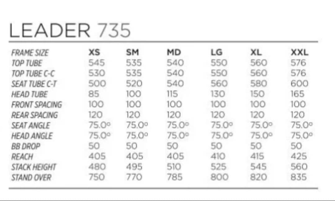 LEADER BIKE リーダーバイク735 ピスト Lサイズ