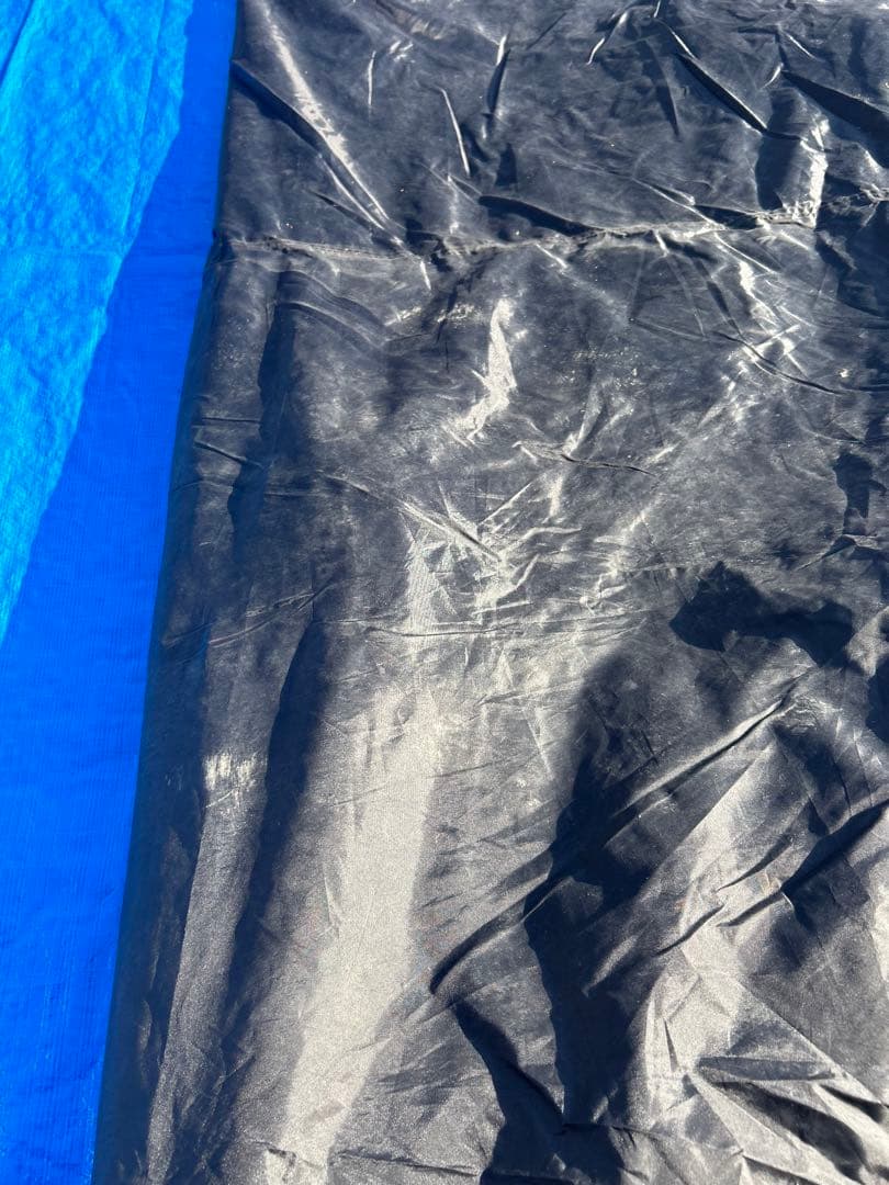 HORIZON ARROW CAREX カーレックス