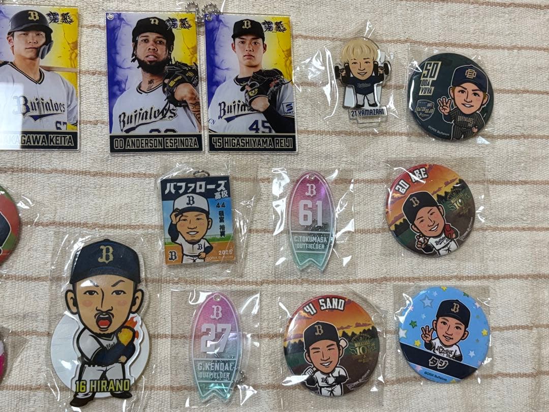 【カタログ用】オリックス・バファローズ 選手グッズ