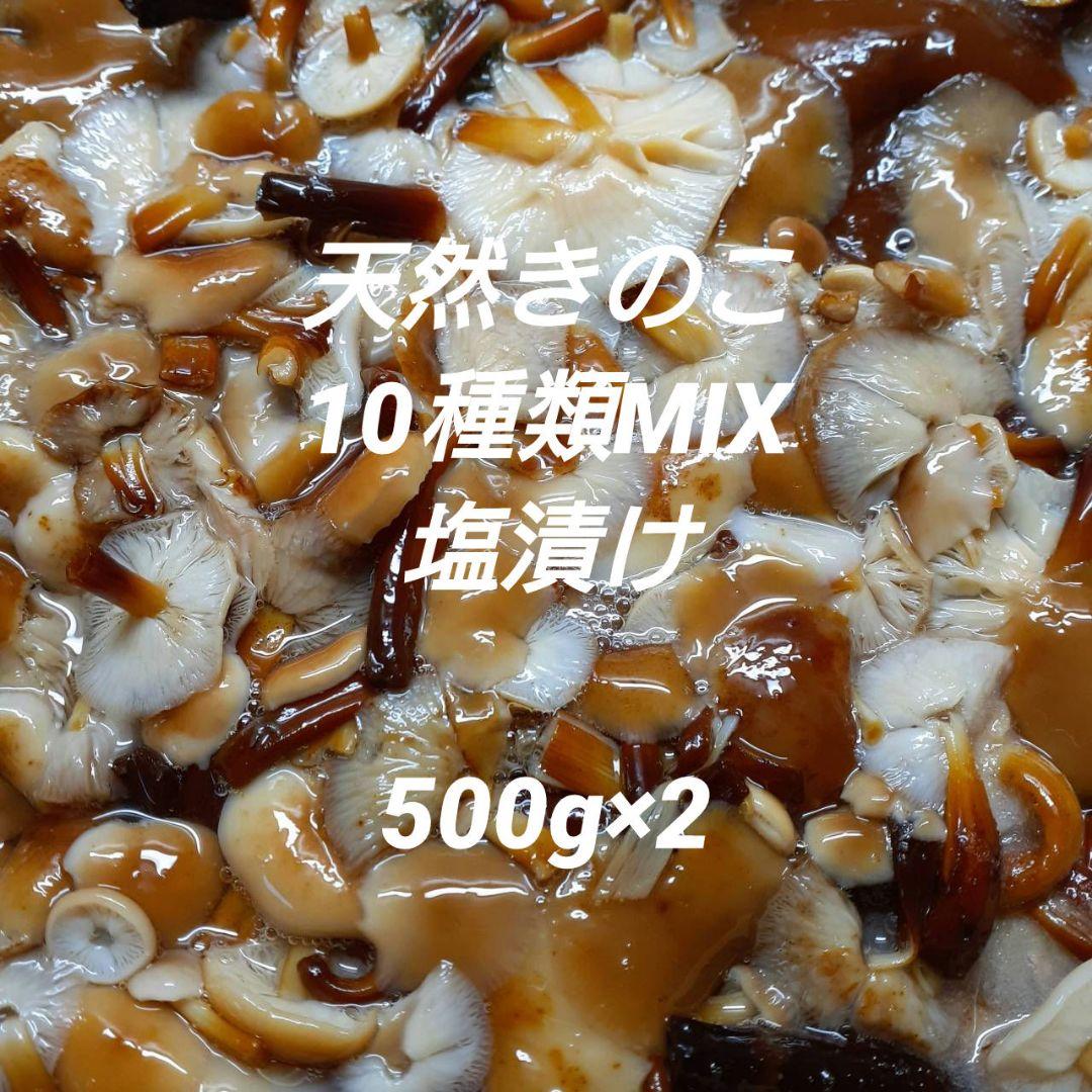 秋田県産 天然きのこ 晩秋の宝箱 クリタケ ムキタケ 採れたて