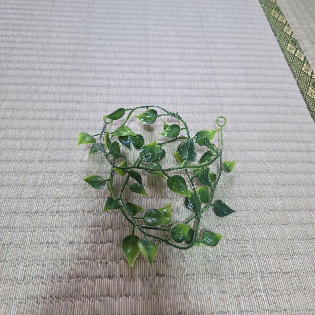 GEX エキゾテラ レプテリアクリアネオフィット180一式セット