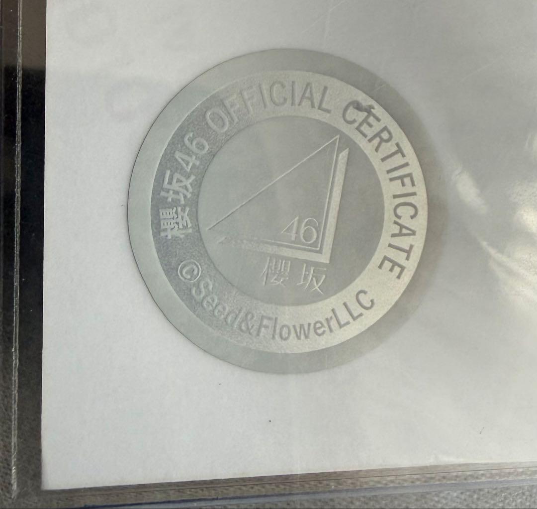 櫻坂46 小池美波 2024年クリスマスサンタ衣装 直筆