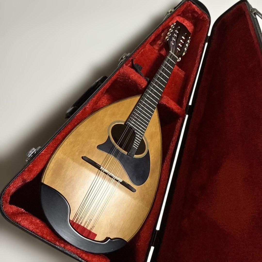 【わたあめ】恵那マンドリン 本体　恵那楽器EM-40 ハードケース付