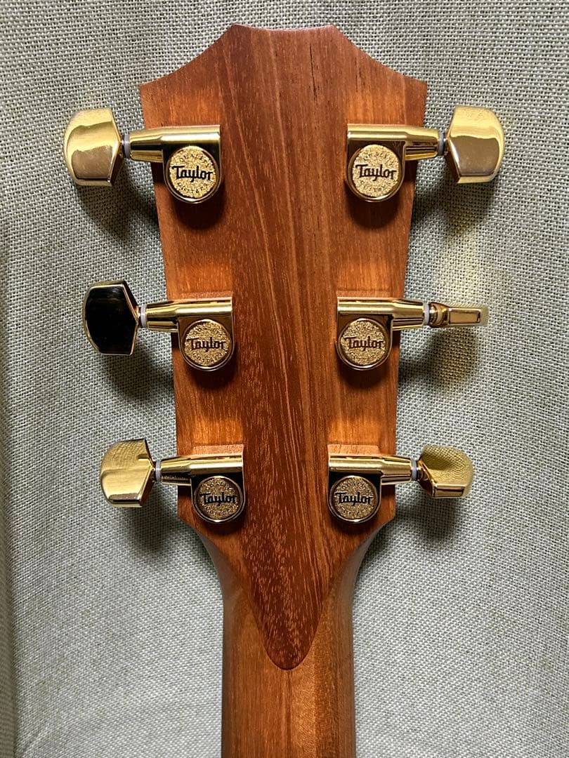 Taylorエレアコ217e plus Ltd 50thアニバーサリー