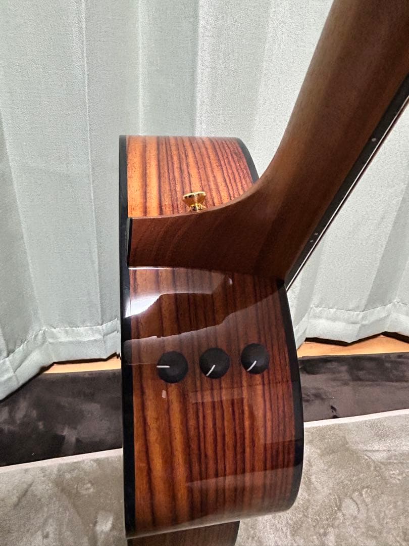 Taylorエレアコ217e plus Ltd 50thアニバーサリー