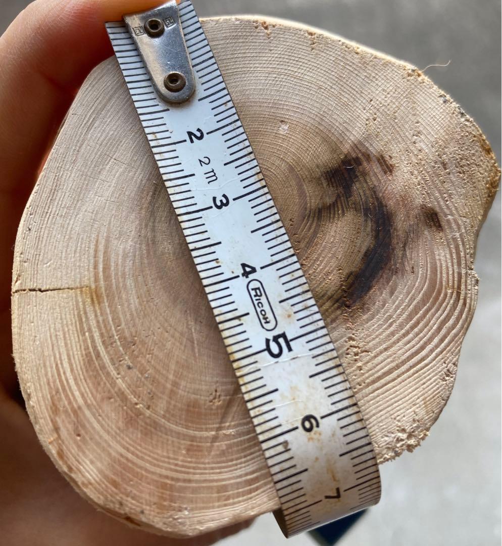 希少　樹齢150〜200年　杉枝　約143cm 鑑賞　庭　インテリア 骨董　華道