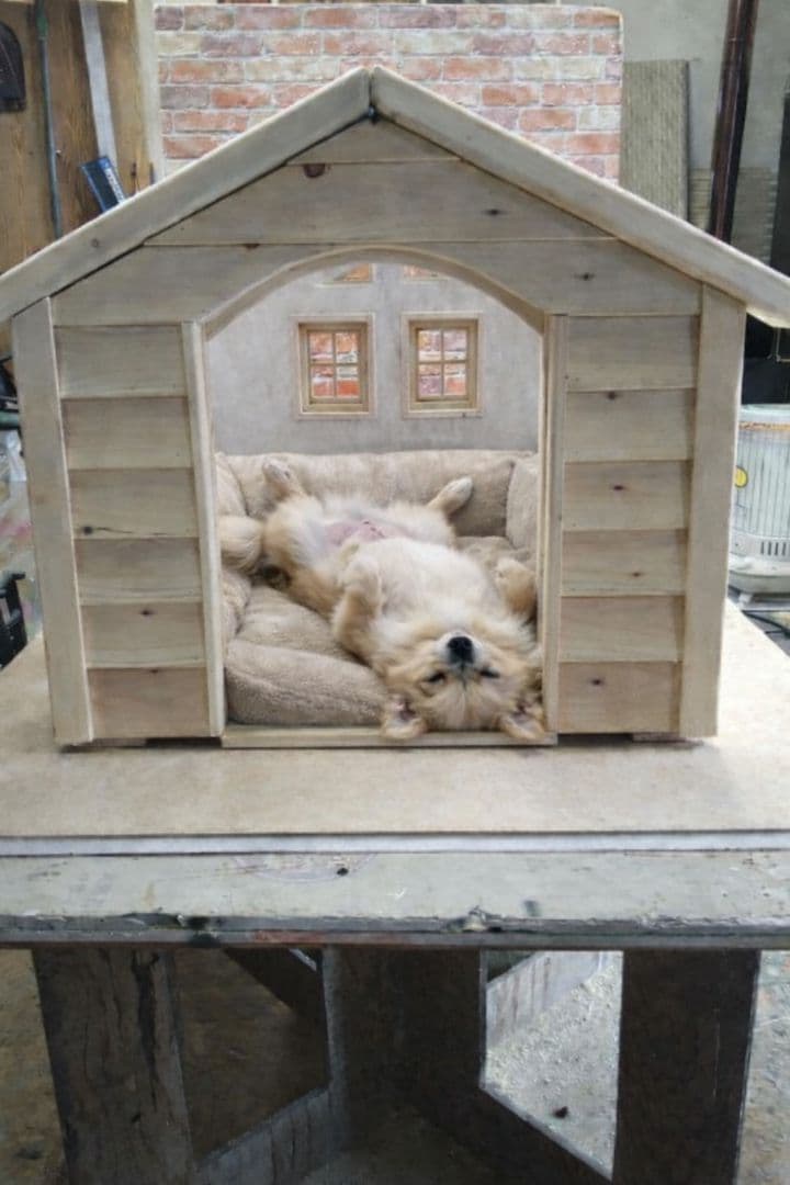 職人手作り 木製ペットハウス「Kenno」初号機　小型犬・猫用／室内用／特典付