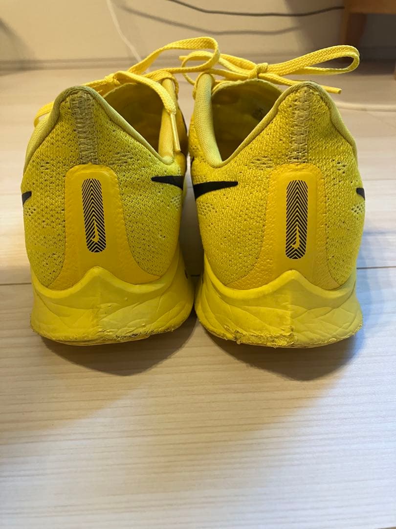 NIKE ペガサス36 コーディハドソン