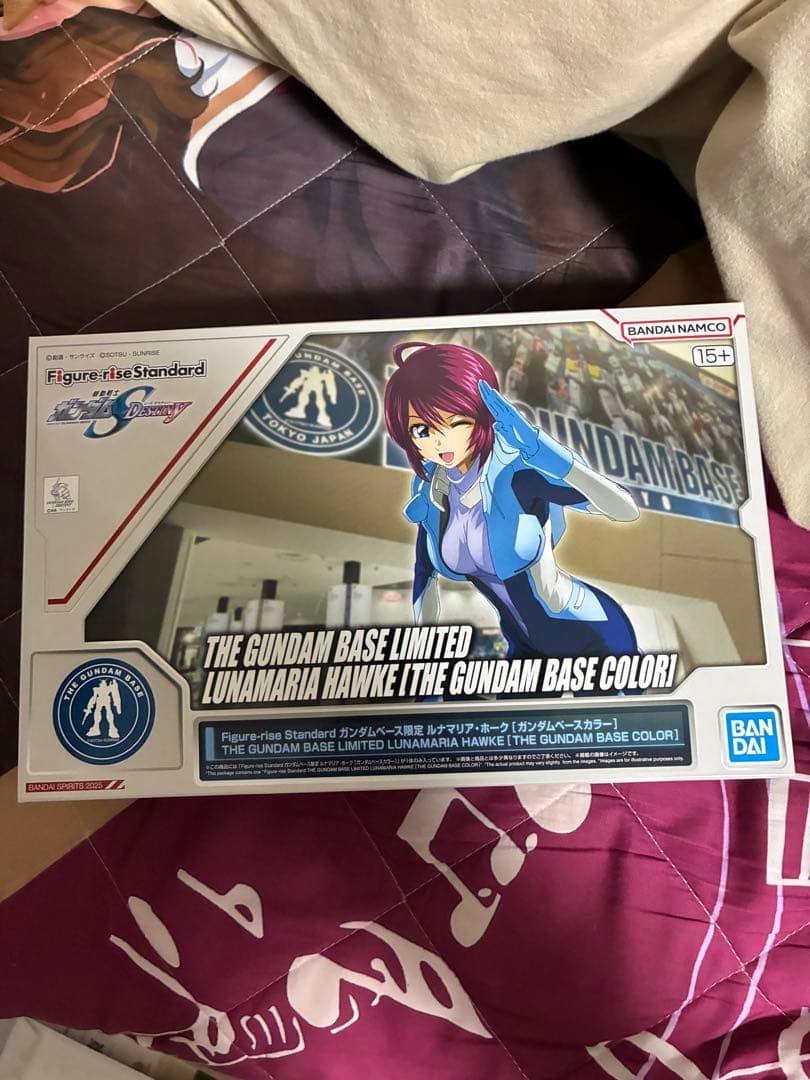 HG クスィーガンダム クリアカラー　Ξガンダム、入場特典　ルナマリア　色紙2種