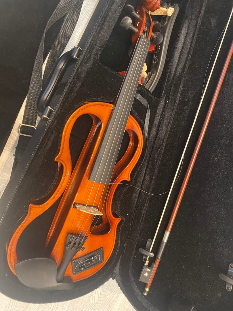 ？*様 定価約4万　carlo giordano EV-202 交換弦つき