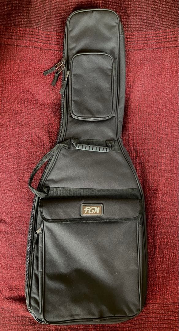 FGN 上位機種 テレキャス NTE21RAH アッシュ美品