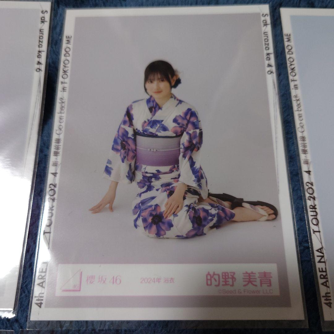 櫻坂46　的野美青　生写真　バラ