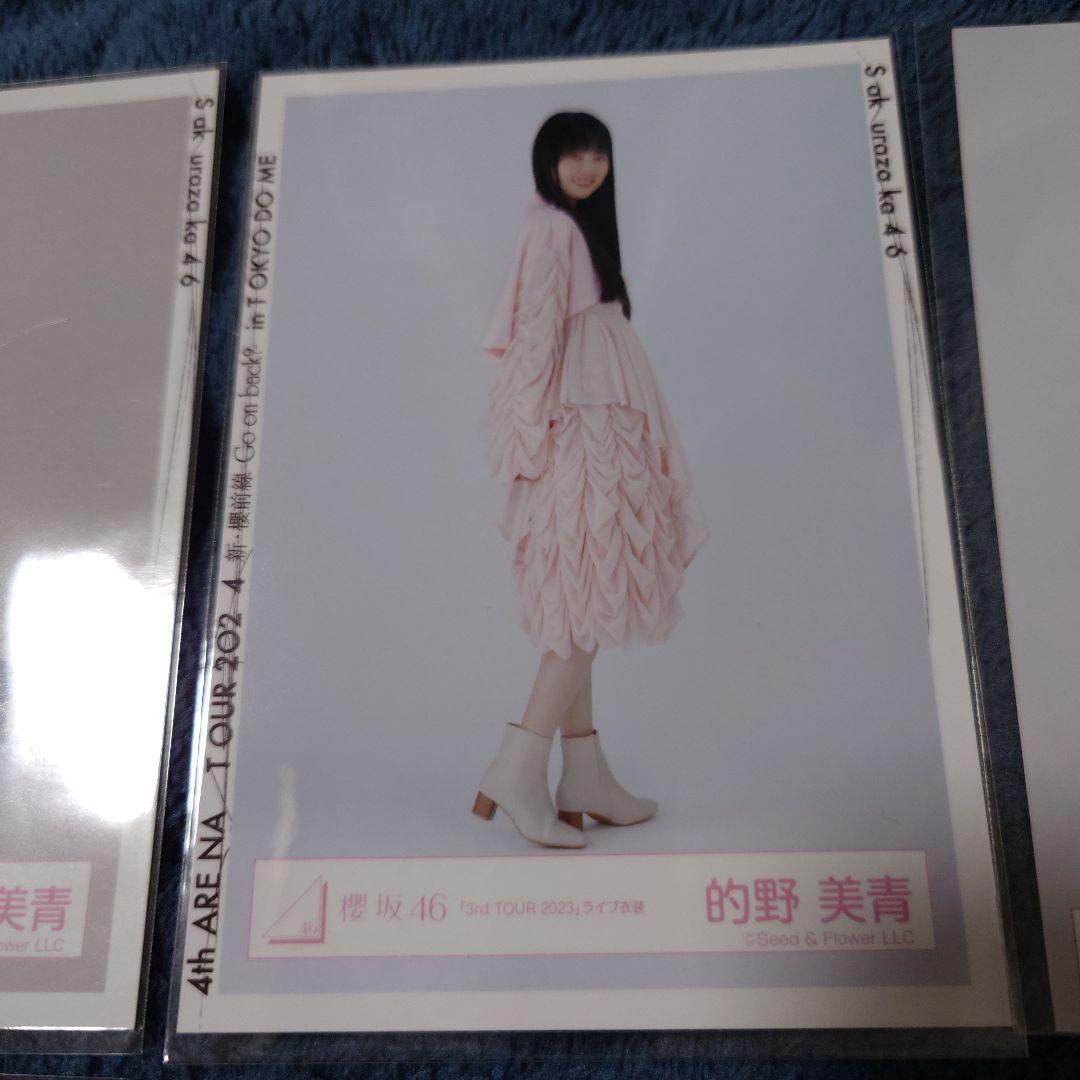 櫻坂46　的野美青　生写真　バラ