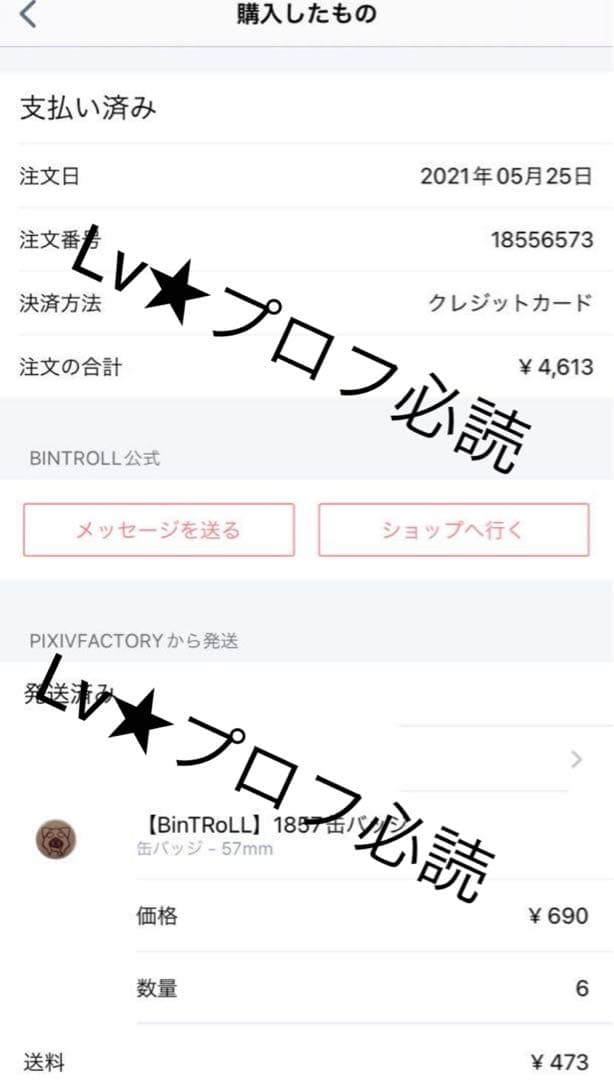 BinTRoLL 1857 缶バッジ 36点セット