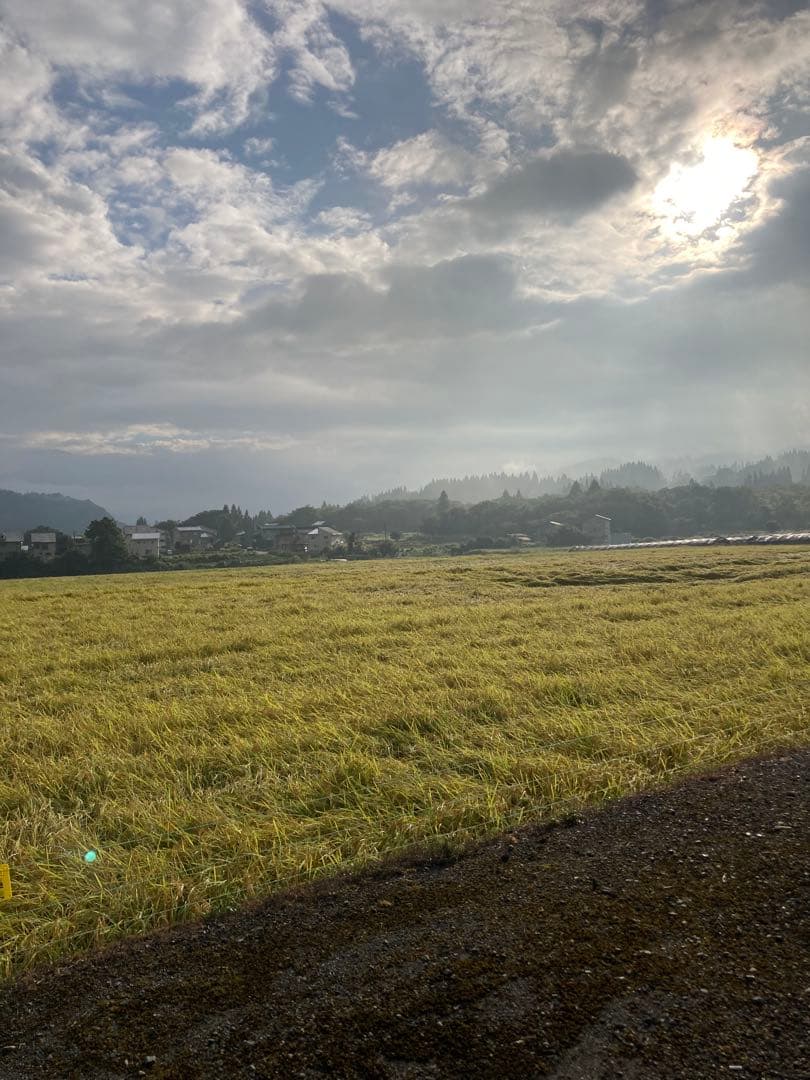 魚沼産コシヒカリ 玄米30kg