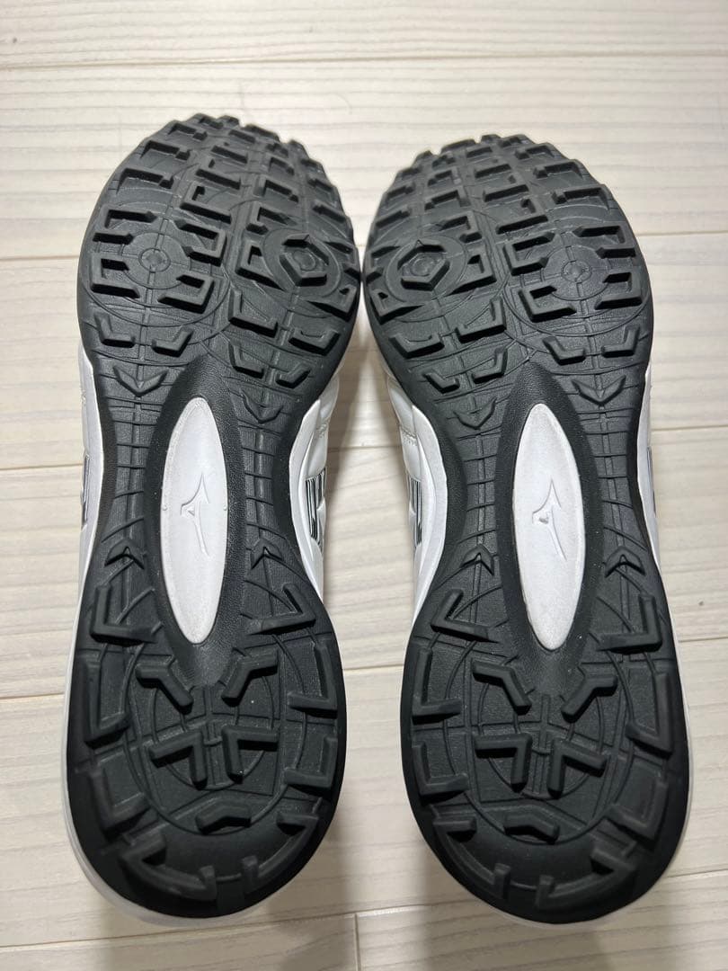 モレリア　ネオ　AS TF 日本未発売？