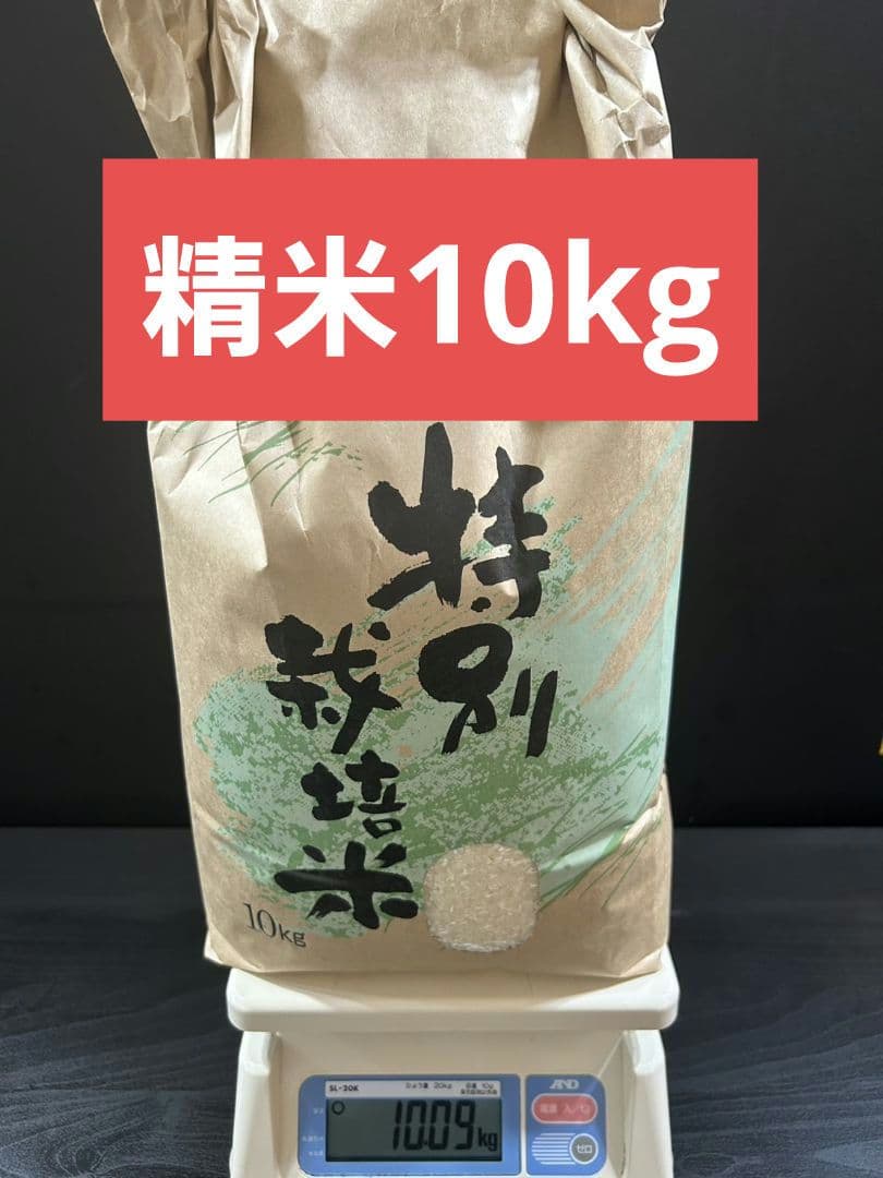 米 石川県産 10kg精米済み