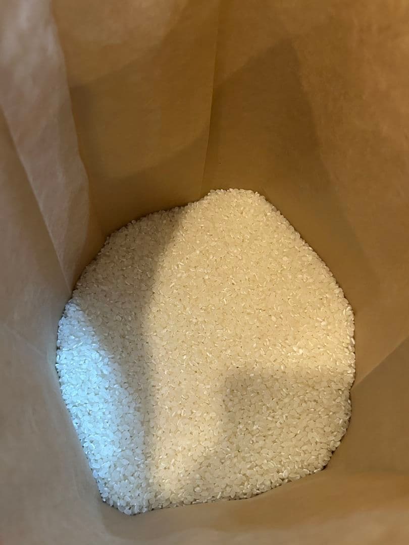 米 石川県産 10kg精米済み