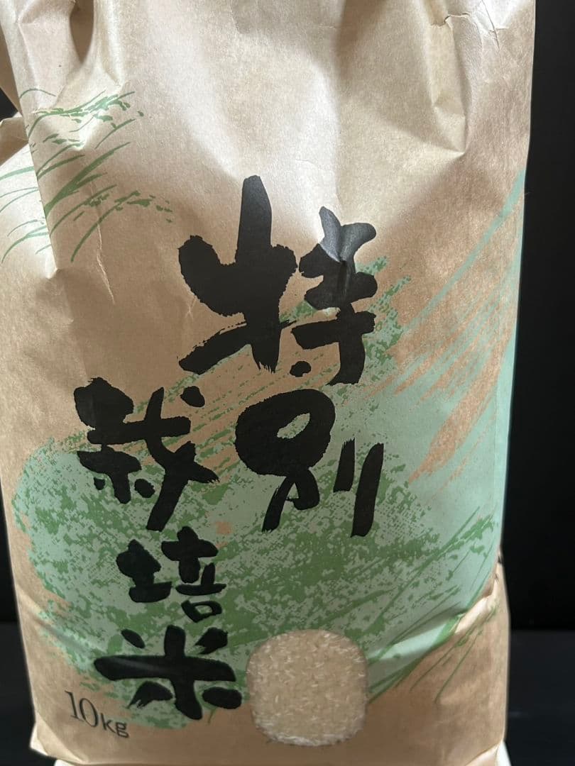米 石川県産 10kg精米済み
