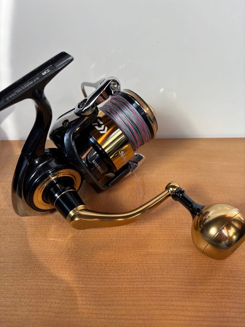 ダイワ　20ソルティガ8000P SLP WORKS SEMI ORDER