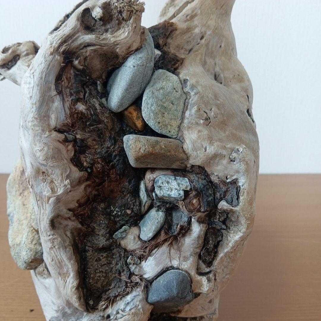 流木　石抱き　NO.95